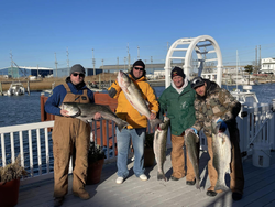 Experience the Best Striped Bass in Sea Isle City!